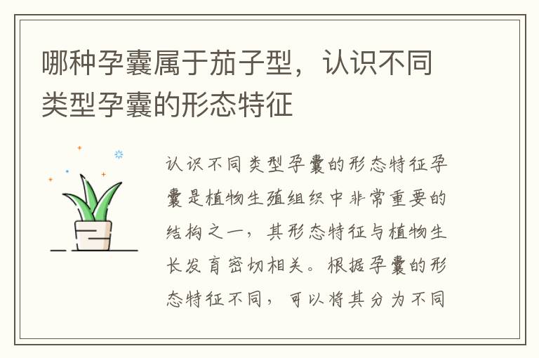 哪種孕囊屬于茄子型，認識不同類型孕囊的形態特征