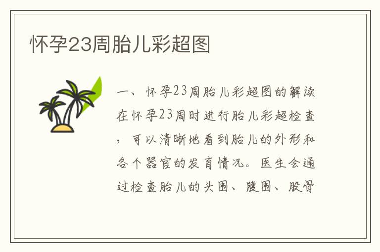 懷孕23周胎兒彩超圖