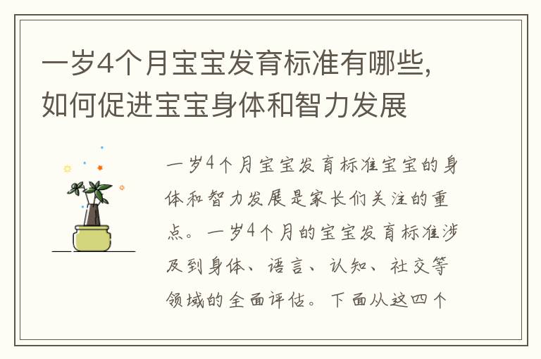 一歲4個月寶寶發育標準有哪些,如何促進寶寶身體和智力發展