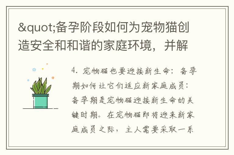 "備孕階段如何為寵物貓創造安全和和諧的家庭環境，并解決照料問題"