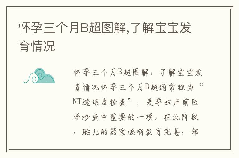 懷孕三個月B超圖解,了解寶寶發育情況