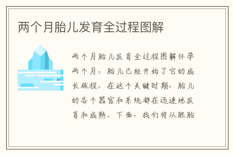 兩個月胎兒發育全過程圖解