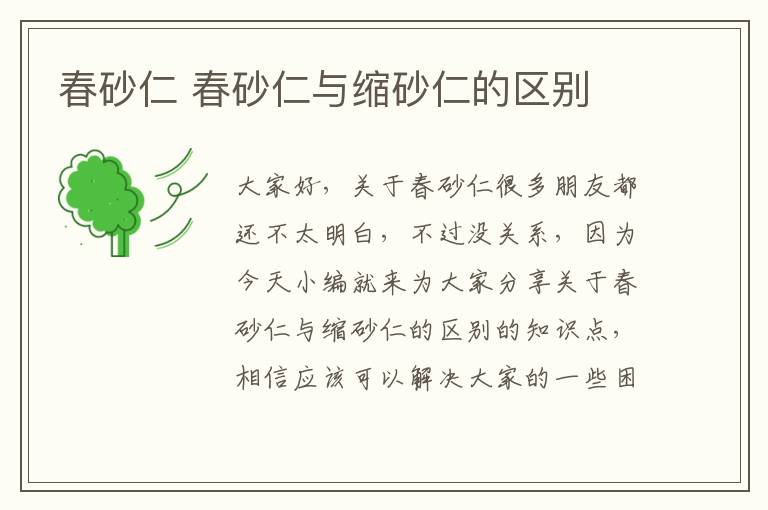 春砂仁 春砂仁與縮砂仁的區別
