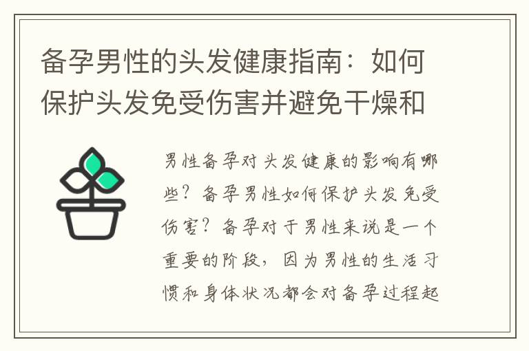 備孕男性的頭發健康指南：如何保護頭發免受傷害并避免干燥和毛躁？