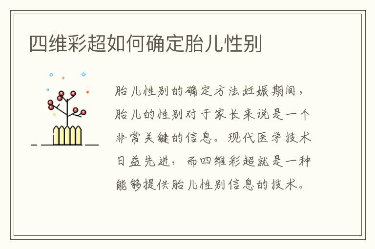 四維彩超如何確定胎兒性別