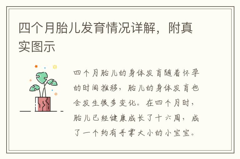 四個月胎兒發育情況詳解，附真實圖示