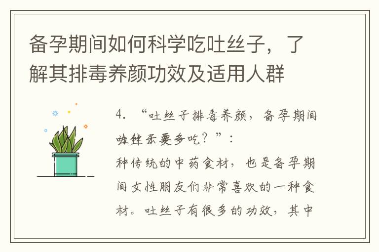 備孕期間如何科學吃吐絲子，了解其排毒養顏功效及適用人群