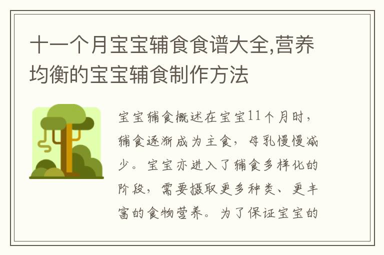 十一個月寶寶輔食食譜大全,營養均衡的寶寶輔食制作方法