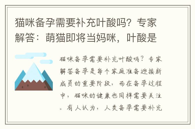 貓咪備孕需要補充葉酸嗎？專家解答：萌貓即將當媽咪，葉酸是不可或缺的重要營養