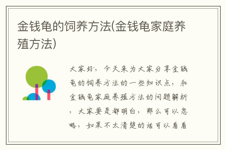 金錢龜的飼養方法(金錢龜家庭養殖方法)