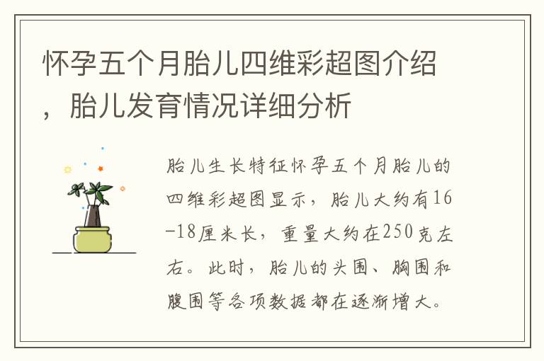 懷孕五個月胎兒四維彩超圖介紹，胎兒發育情況詳細分析