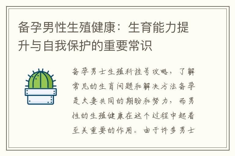 備孕男性生殖健康：生育能力提升與自我保護的重要常識