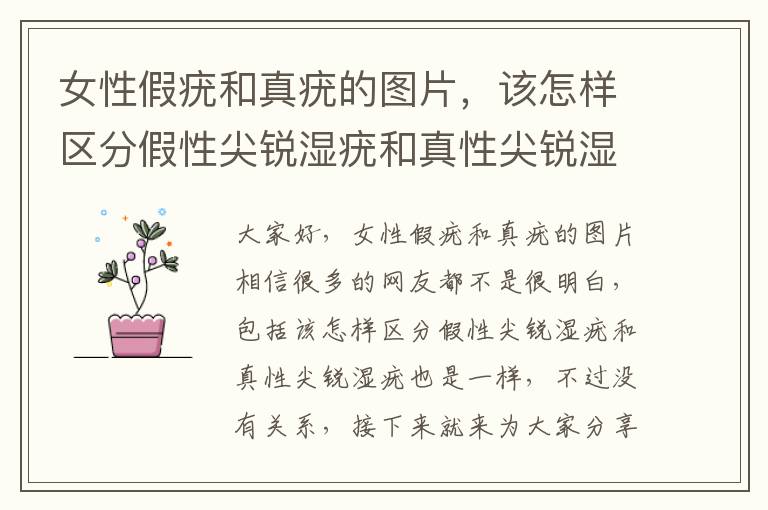 女性假疣和真疣的圖片，該怎樣區分假性尖銳濕疣和真性尖銳濕疣