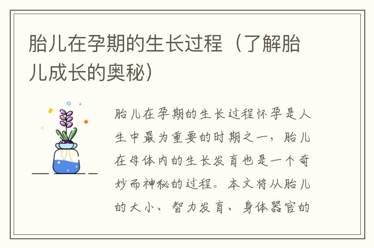 胎兒在孕期的生長過程（了解胎兒成長的奧秘）