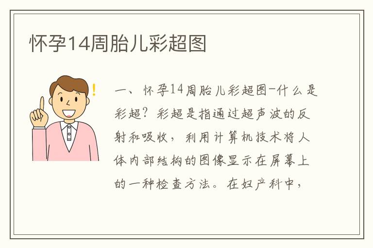懷孕14周胎兒彩超圖