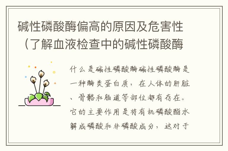 堿性磷酸酶偏高的原因及危害性（了解血液檢查中的堿性磷酸酶指標）