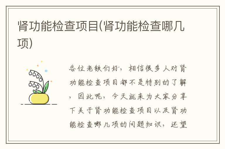 腎功能檢查項目(腎功能檢查哪幾項)