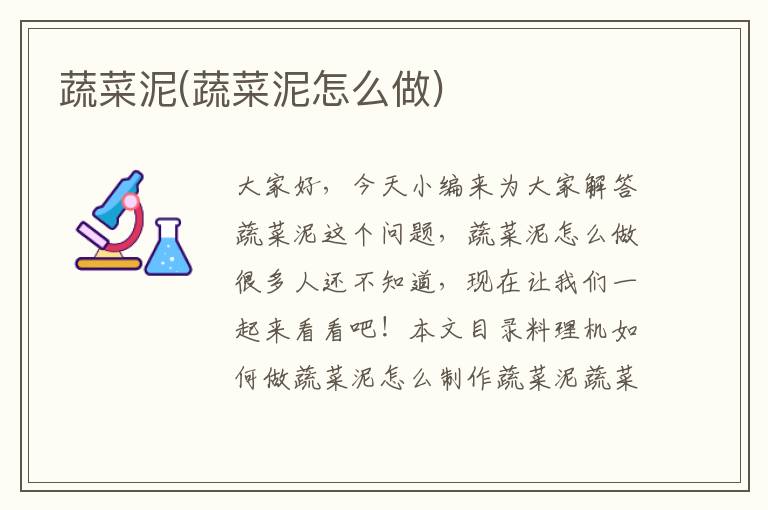 蔬菜泥(蔬菜泥怎么做)