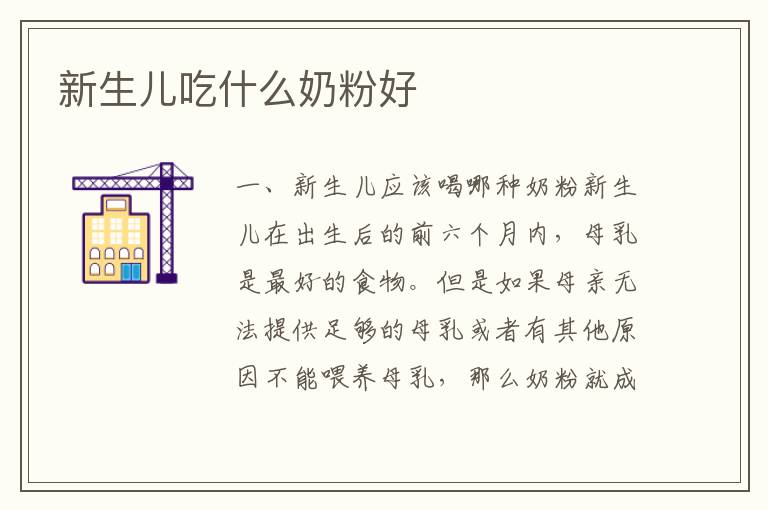 新生兒吃什么奶粉好
