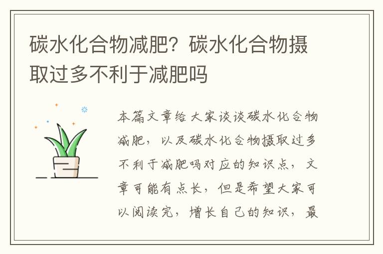 碳水化合物減肥？碳水化合物攝取過多不利于減肥嗎