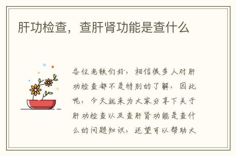 肝功檢查，查肝腎功能是查什么