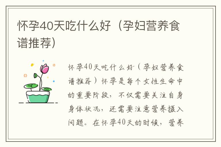 懷孕40天吃什么好（孕婦營養食譜推薦）