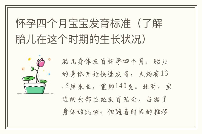 懷孕四個月寶寶發育標準（了解胎兒在這個時期的生長狀況）