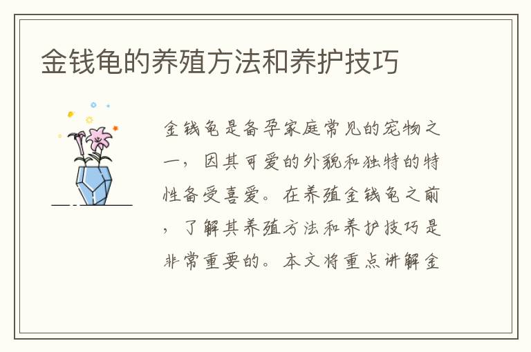 金錢龜的養殖方法和養護技巧