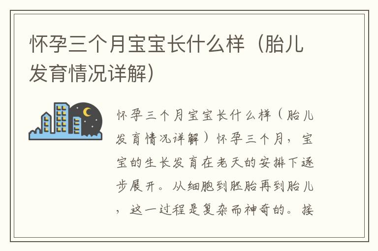 懷孕三個月寶寶長什么樣（胎兒發育情況詳解）