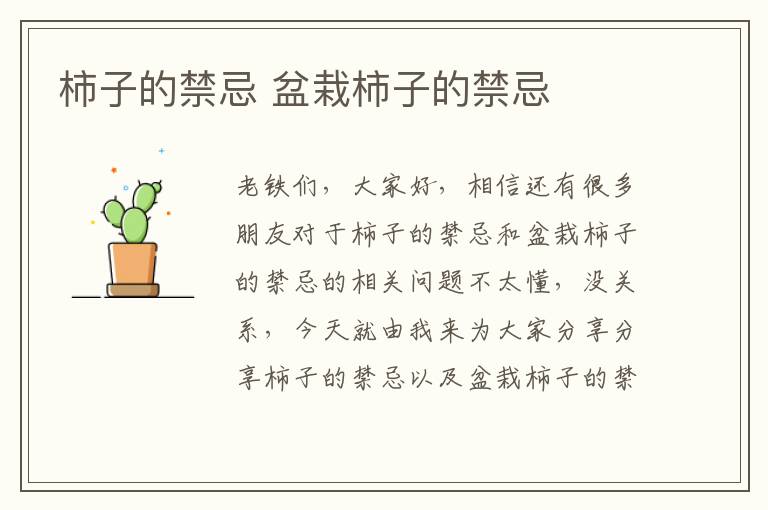 柿子的禁忌 盆栽柿子的禁忌