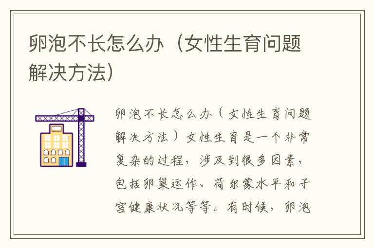 卵泡不長怎么辦（女性生育問題解決方法）
