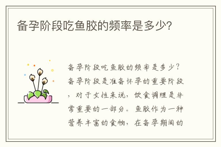 備孕階段吃魚膠的頻率是多少？