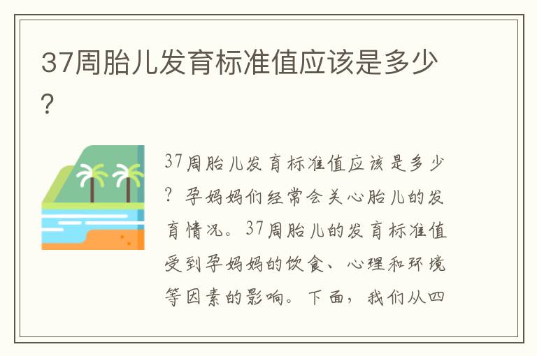 37周胎兒發育標準值應該是多少？