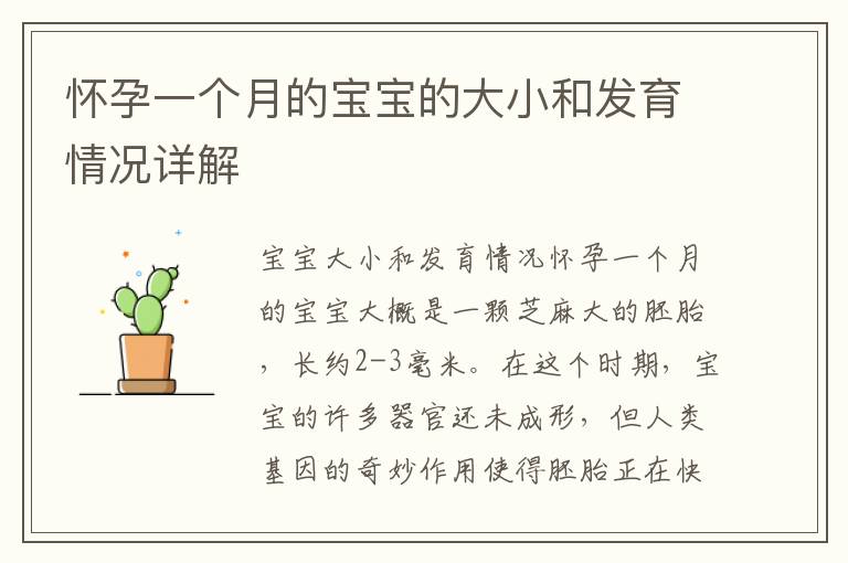 懷孕一個月的寶寶的大小和發育情況詳解