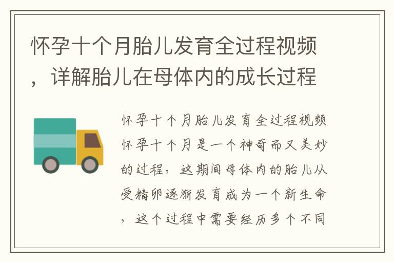 懷孕十個月胎兒發育全過程視頻，詳解胎兒在母體內的成長過程