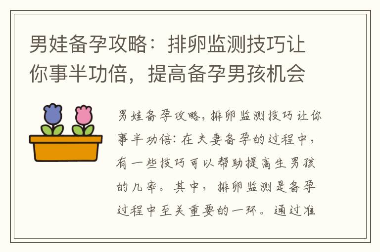 男娃備孕攻略：排卵監測技巧讓你事半功倍，提高備孕男孩機會，把握排卵監測黃金期，備孕男娃最佳時機不容忽視