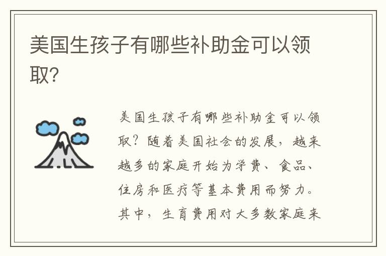 美國生孩子有哪些補助金可以領取？