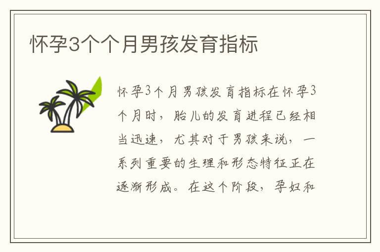 懷孕3個個月男孩發育指標