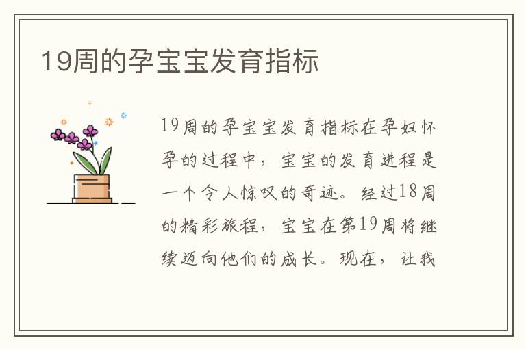 19周的孕寶寶發育指標