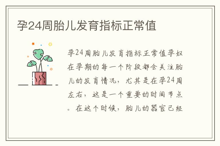 孕24周胎兒發育指標正常值